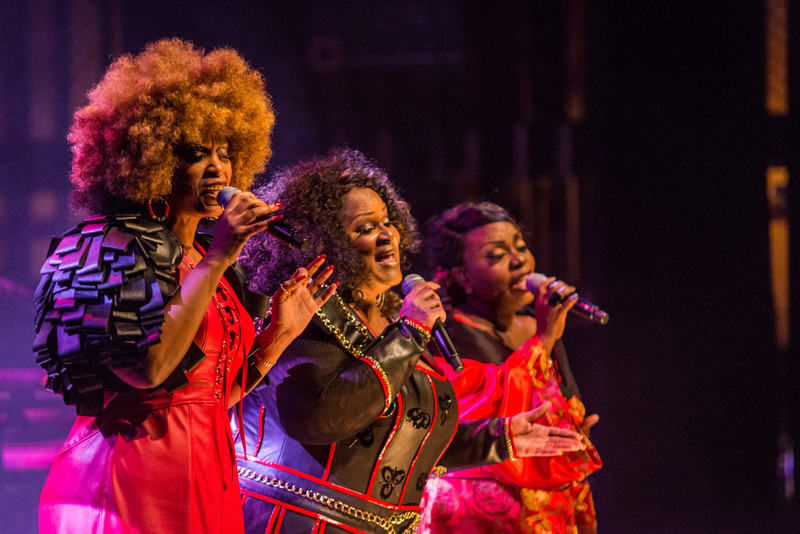 01BigBlackBeautiful Tour 2016 StudioBrownie