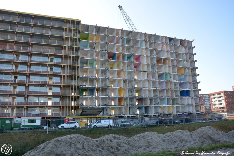 DSC 5024