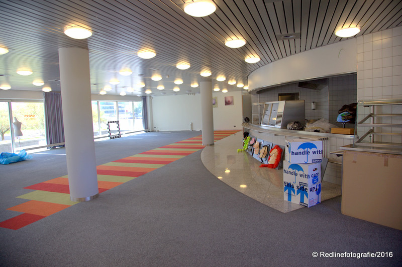 1 IMG 1748