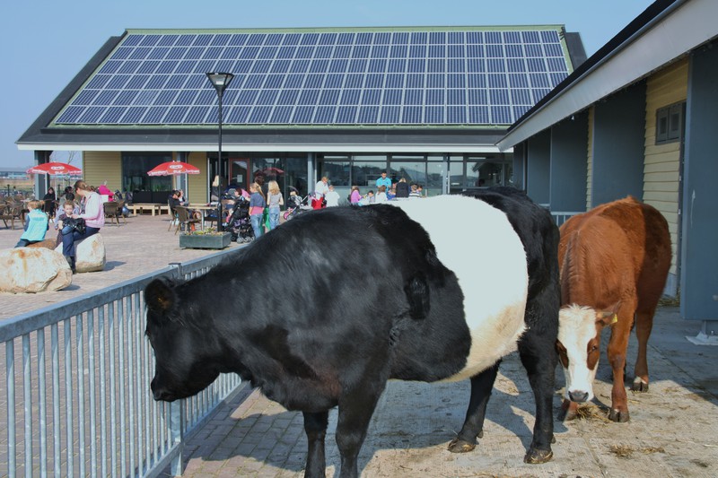 Stadsboerderij De Weidemolen