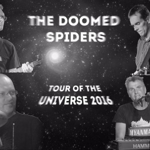Doomed Spiders