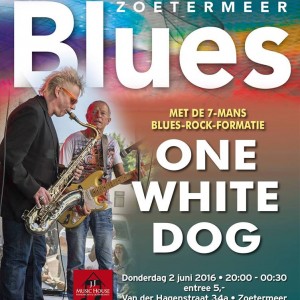ONE WHITE DOG