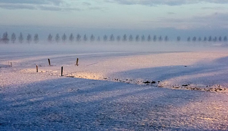 Foto Cees CoersSneeuw in de Meerpolder