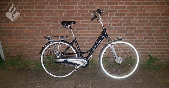 fietsMendelsohn
