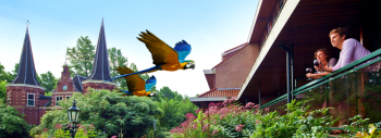 avifauna 350x127