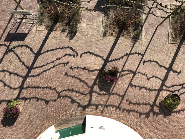 IMG 0306