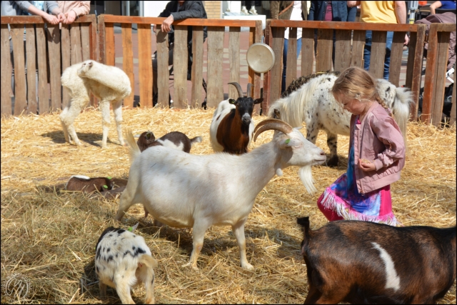 Lente op de boerderij Stadshart GVW 2506