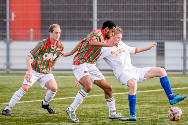 dso honselersdijk