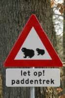 paddentrek