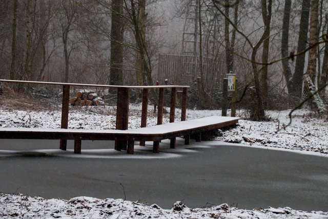 winterwandeling