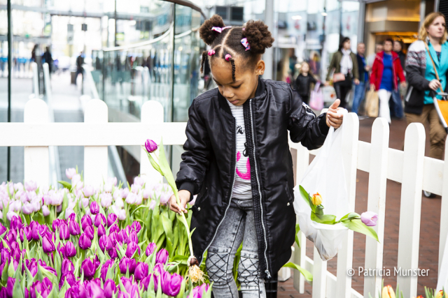 Tulpen plukken op het Lente event 2018 Stadshart Zoetermeer Foto Patricia Munster 