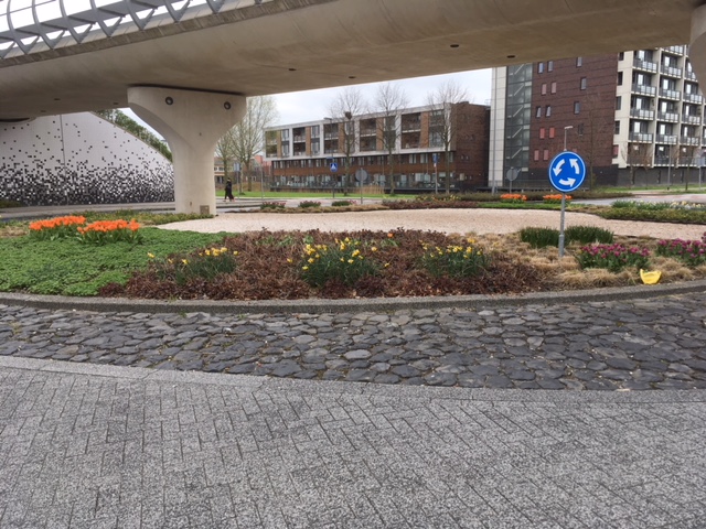 IMG 1660