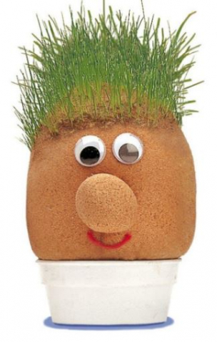 grashoofd