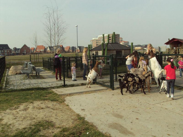oh stadsboerderij weidemolen 11