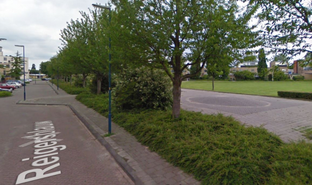 reigersblauw google