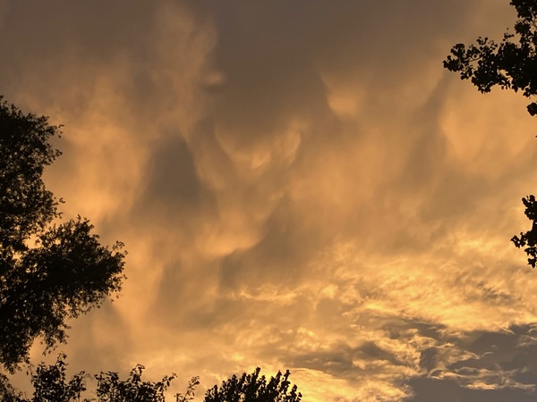 Cok_van_aalst_zonsondergang_Meerzicht