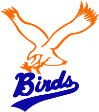 birds